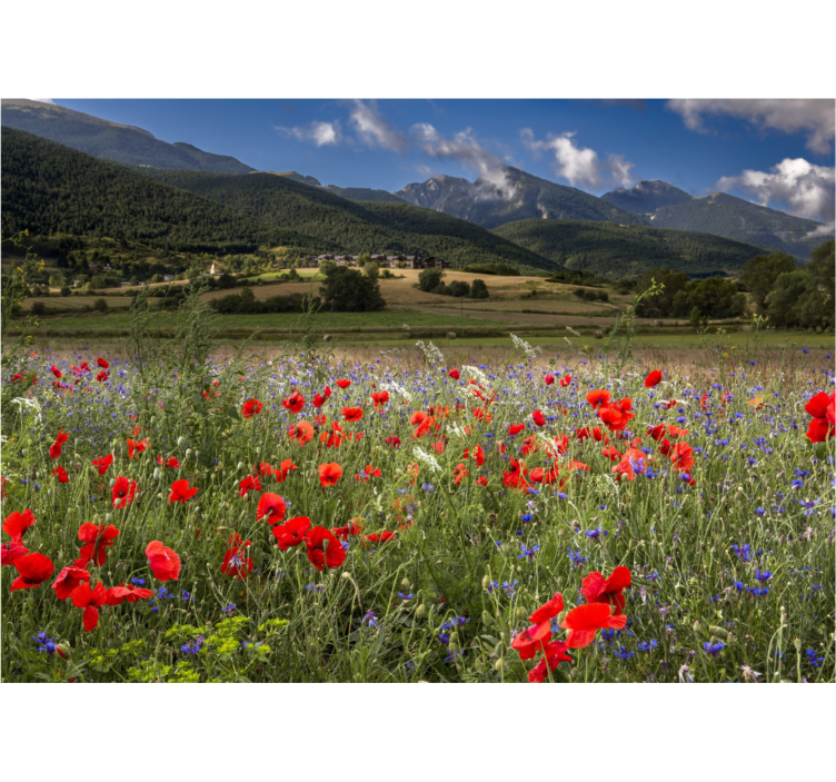 Fotomural flores Bonito campo de pradera con flores - TenVinilo