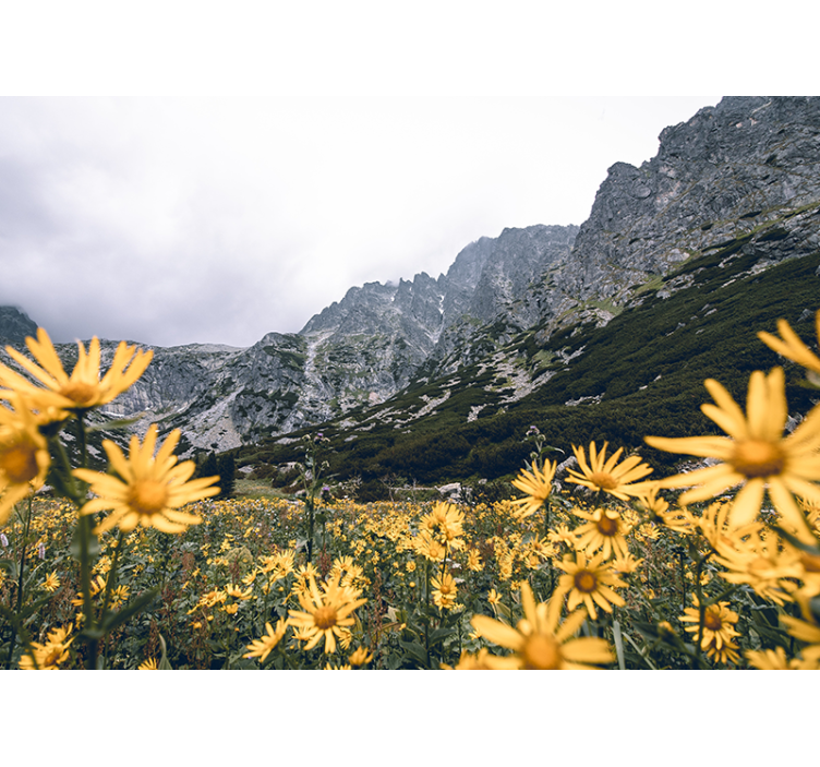 Mural para comedor Temporada de primavera con montañas - TenVinilo