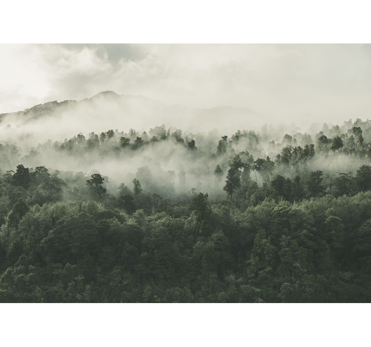 Fotomural de bosque Bosque con niebla desde arriba - TenVinilo