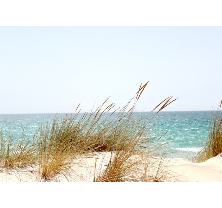 Fotomural naturaleza Hierba de caña de playa - TenVinilo