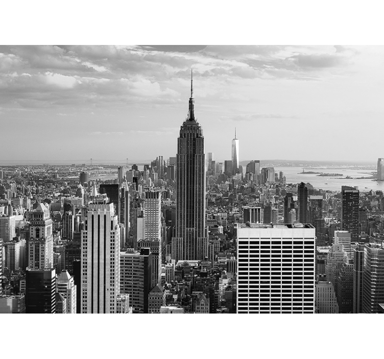 Fotomural Nueva York Nueva york panorámica en blanco y negro - TenVinilo