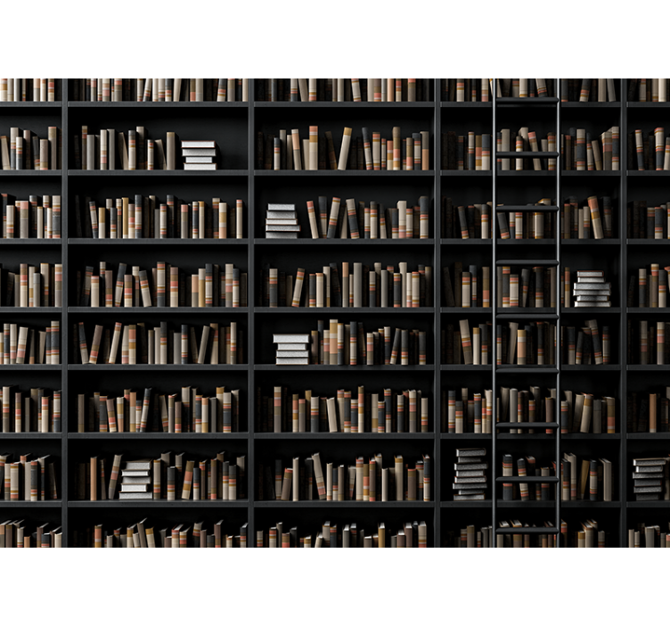 Fotomural 3D Estanterias ilusion optica - TenVinilo