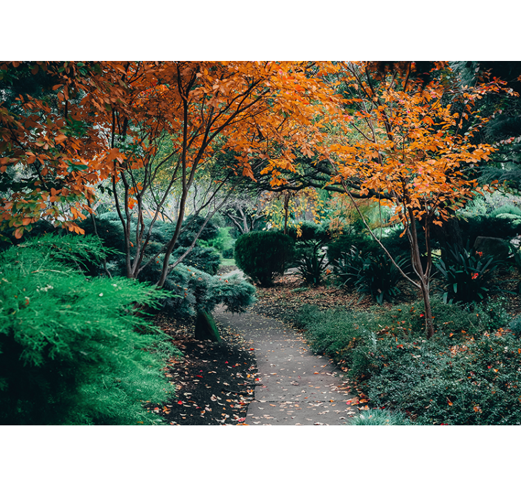 Fotomural 3D Corredor botánico "cottagecore" - TenVinilo