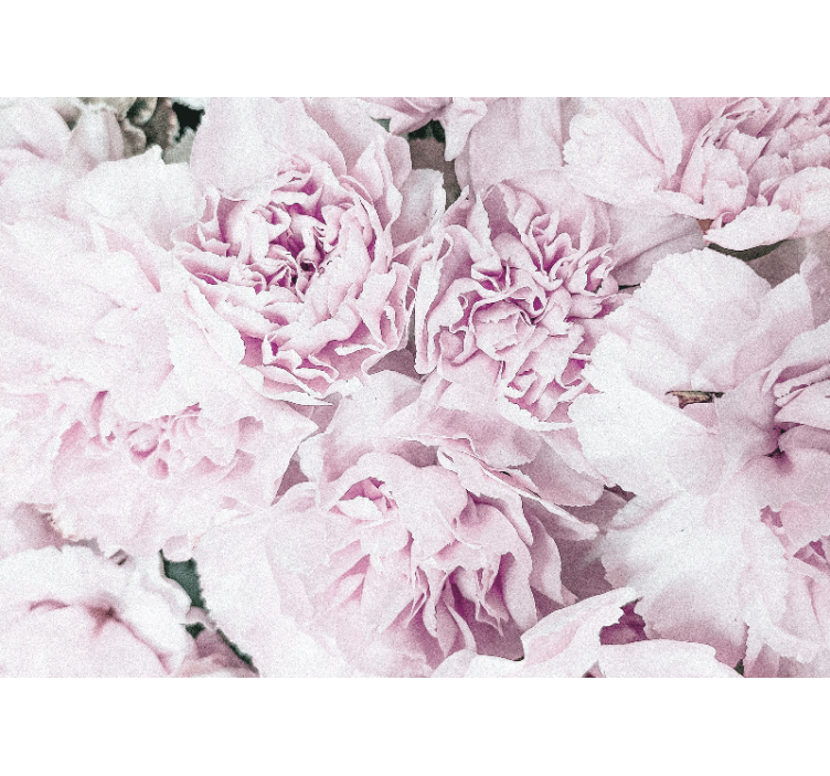 Mural de flores en tonos rosa suave - TenVinilo
