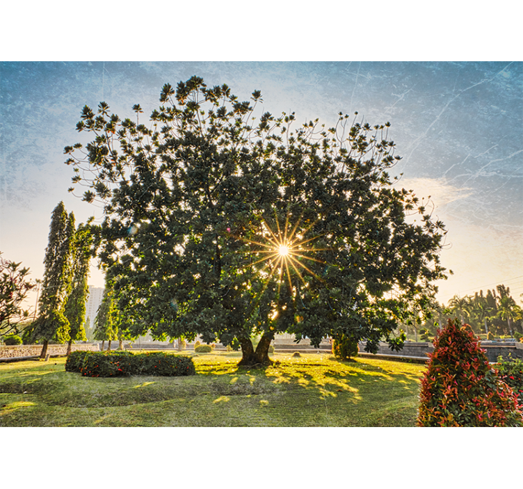 Mural de naturaleza vista del árbol soleado - TenVinilo