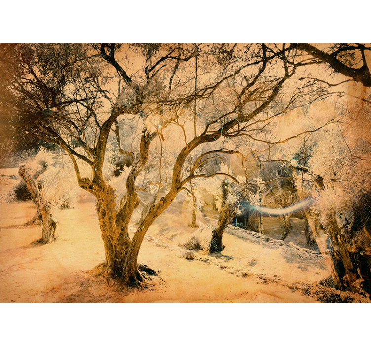 Fotomural de arboles Olivo - TenVinilo