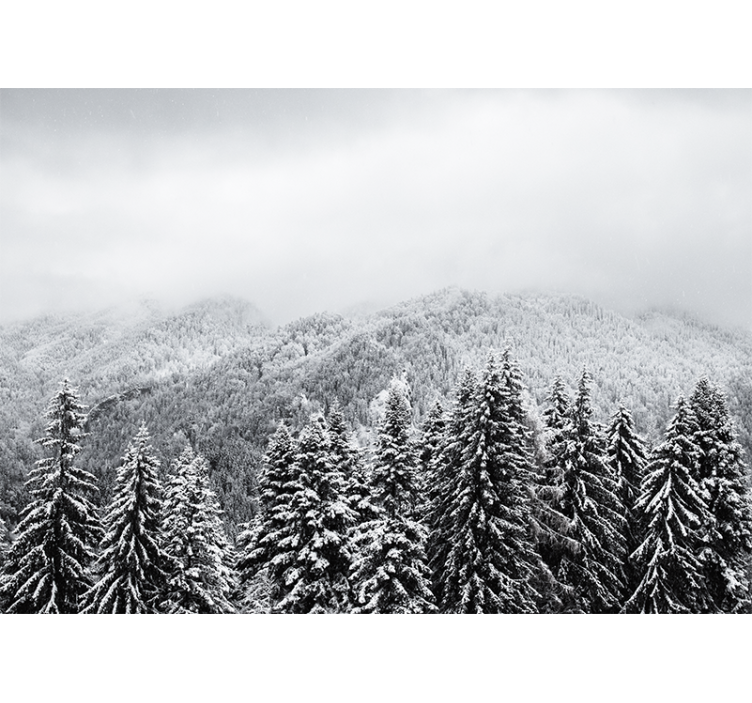 Fotomural de montañas Bosque nevado con pinos - TenVinilo