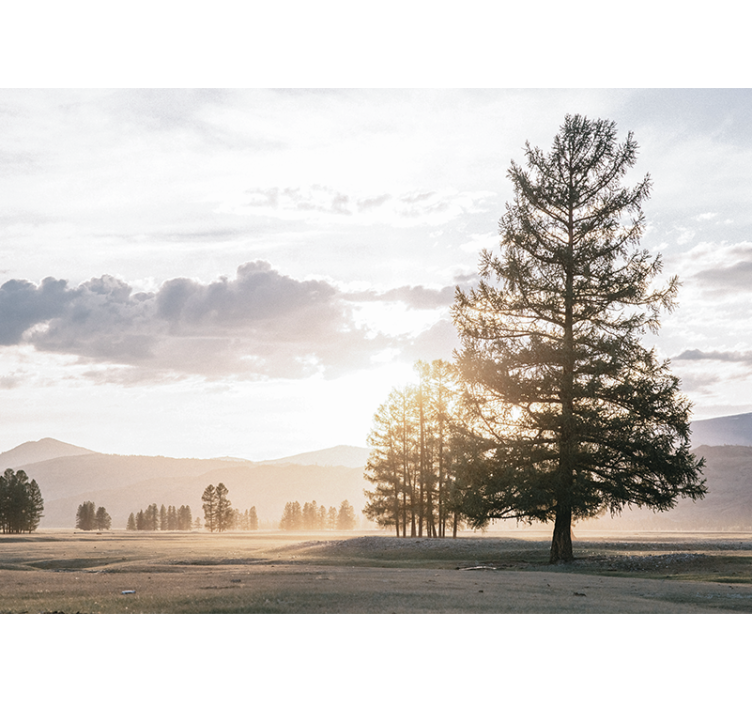 Mural de naturaleza silueta serene de pino - TenVinilo