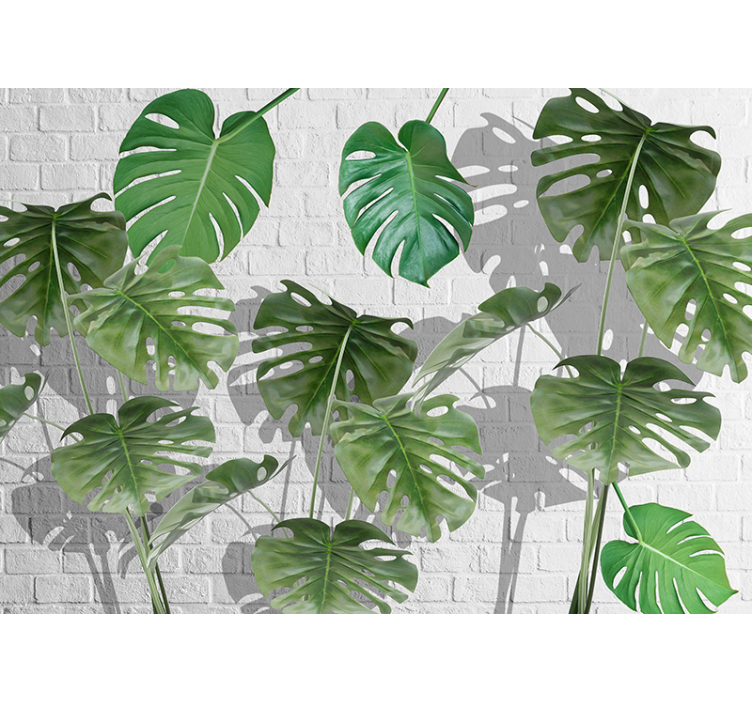 Mural de naturaleza arreglo de hojas de monstera - TenVinilo
