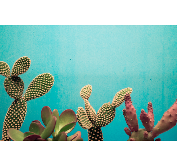 Fotomural flores Cactus plantas pared azul - TenVinilo