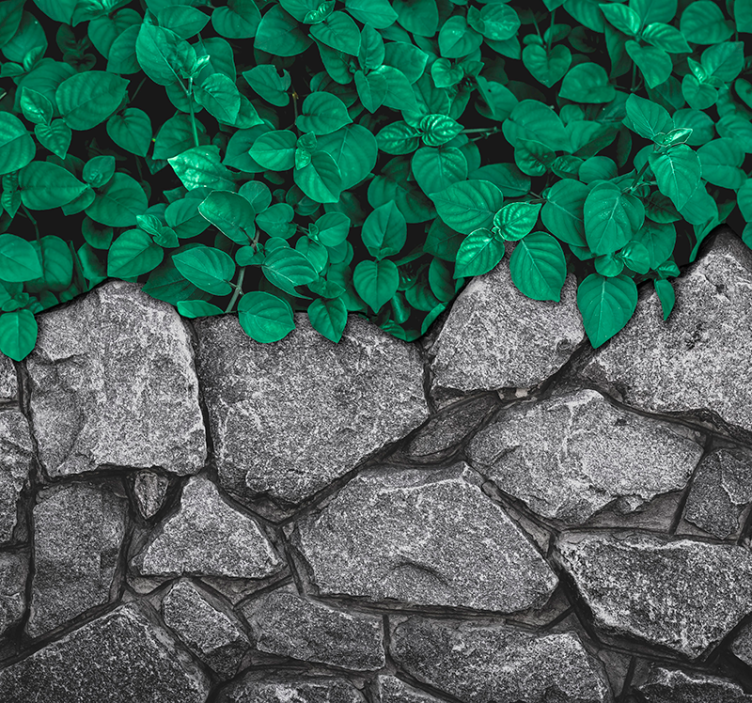 Fotomural salón hojas y piedrasHojas y piedras - TenVinilo