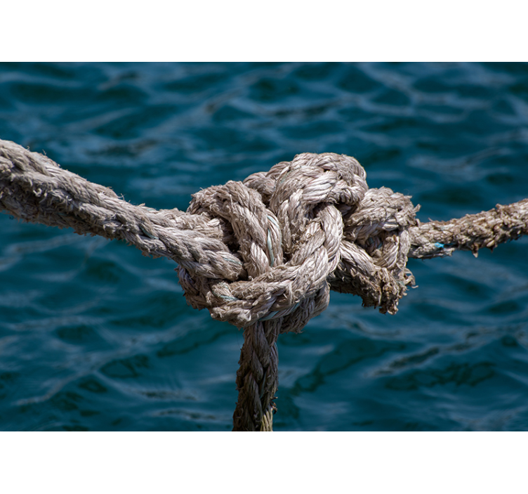 Mural de mar fuerza del nudo náutico - TenVinilo