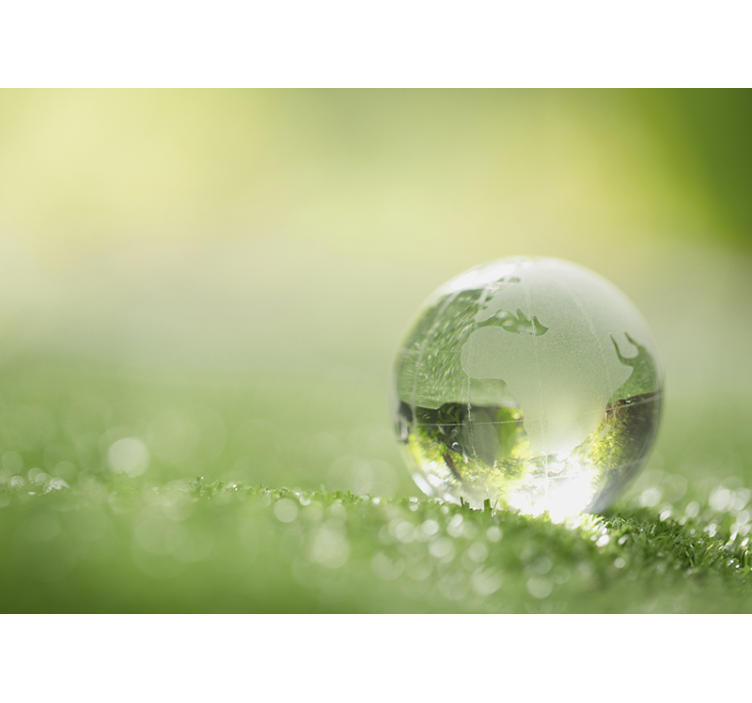 Fotomural pared de naturaleza gota de agua - TenVinilo