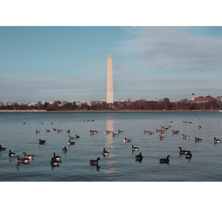 Mural ciudad reflejo del monumento a washington - TenVinilo