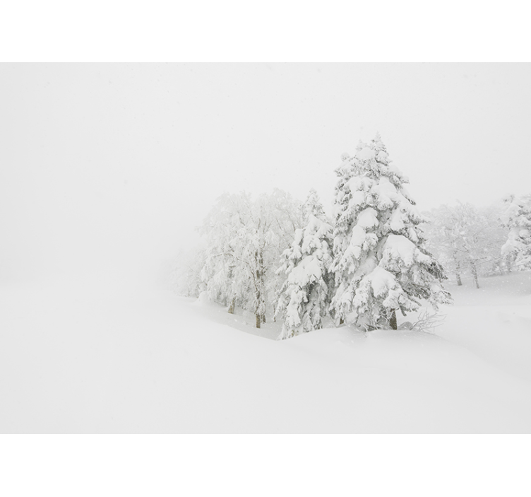 Mural de naturaleza escena de bosque invernal - TenVinilo