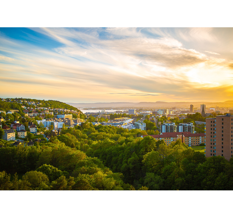 Fotomural ciudad Edificios de oslo - TenVinilo