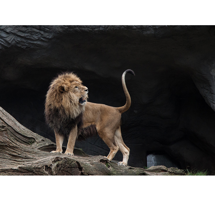 Mural de leones majestuoso retrato de león - TenVinilo