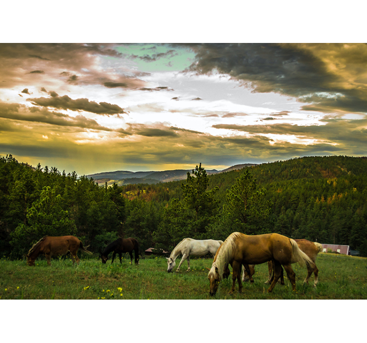 Fotomural naturaleza Caballos en las montañas - TenVinilo