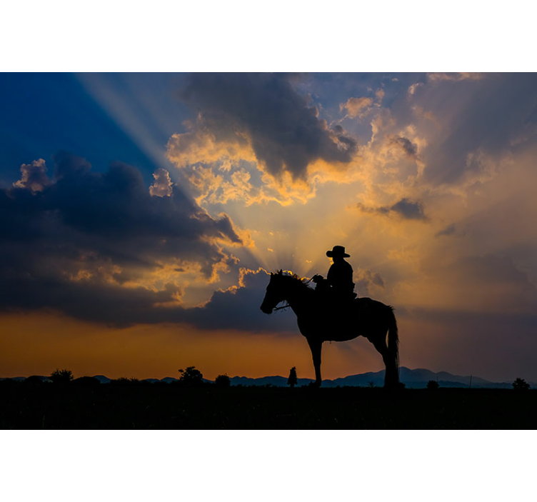 Mural de animales jinete sobre corcel - TenVinilo