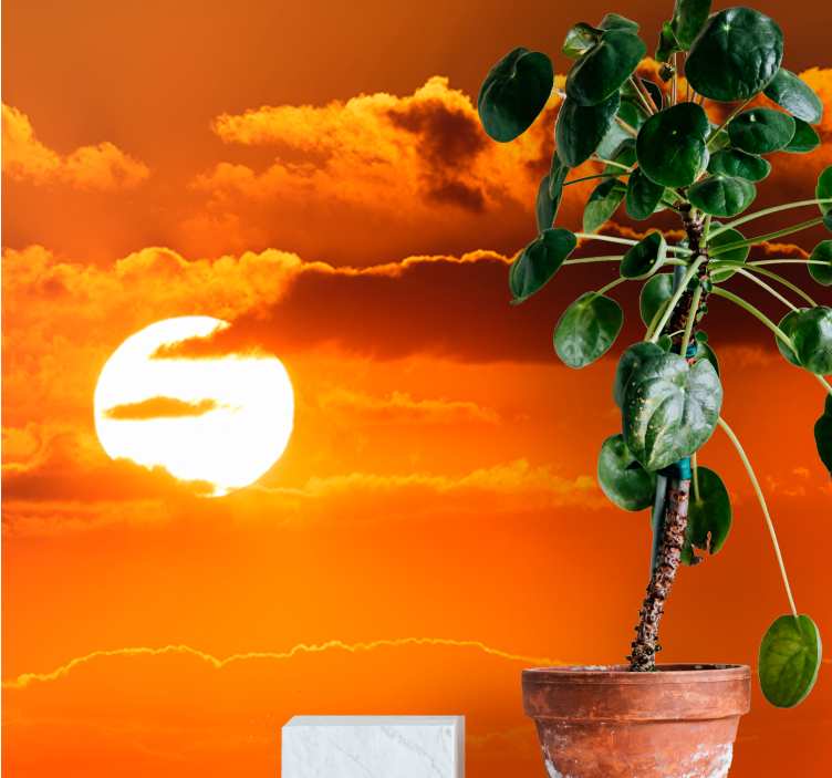 Fotomural cielo atardecer sobre nubes - TenVinilo