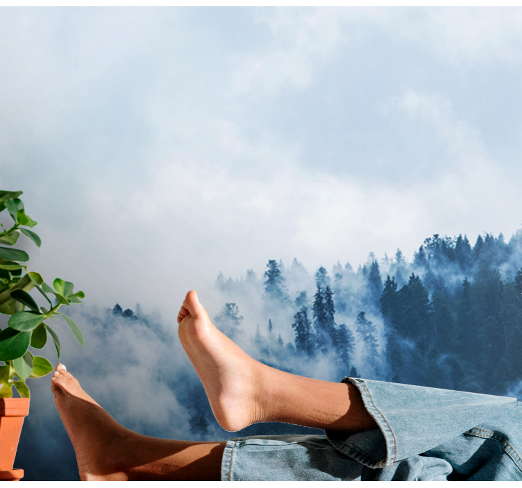 Fotomural naturaleza Bosque de niebla azul - TenVinilo