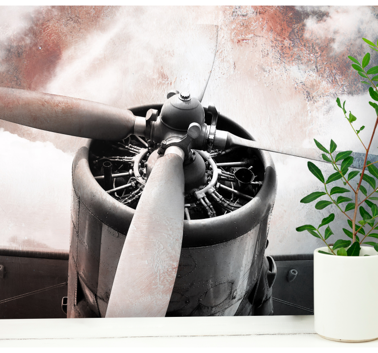 Fotomural retro Avion viejo - TenVinilo