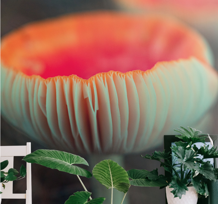 Mural amapolas flor de amapola elegante - TenVinilo