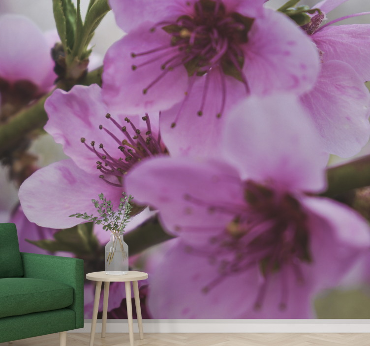 Mural amapolas flores radiantes en rosa - TenVinilo