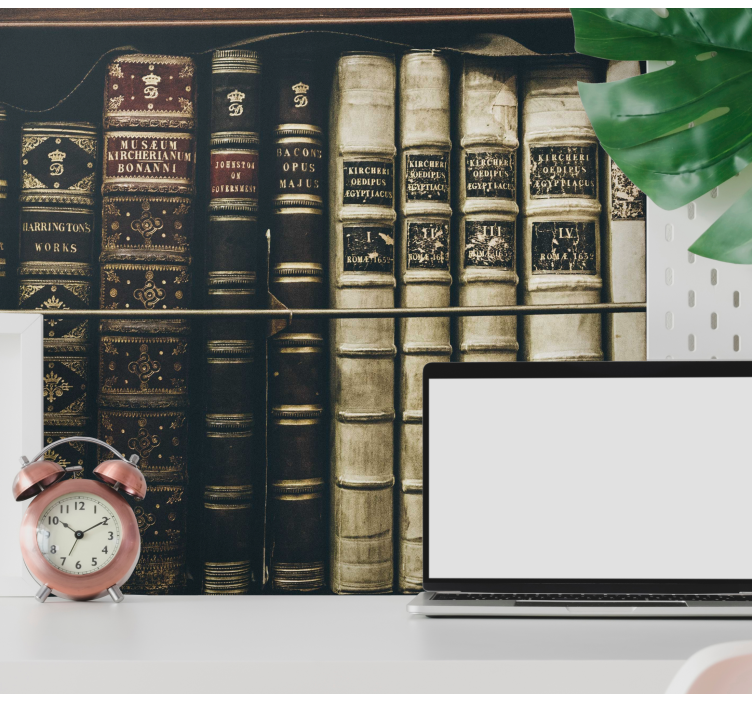 Mural arte clásico colección de libros antiguos - TenVinilo