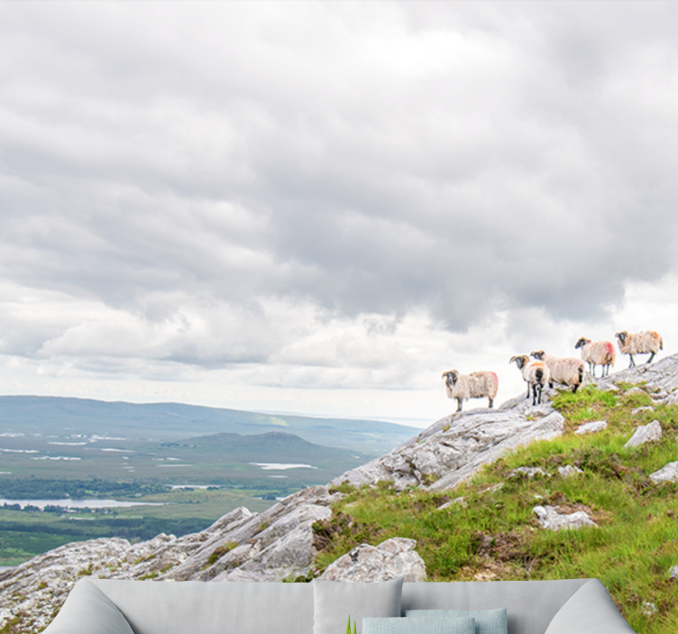 Mural de animales corderos en las laderas - TenVinilo