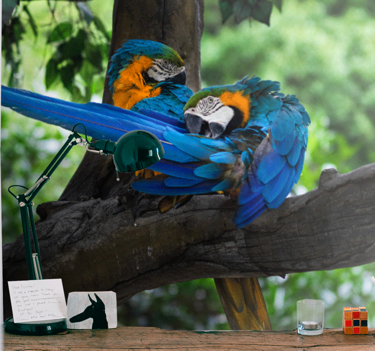 Mural de animales llamativos loros en pareja - TenVinilo