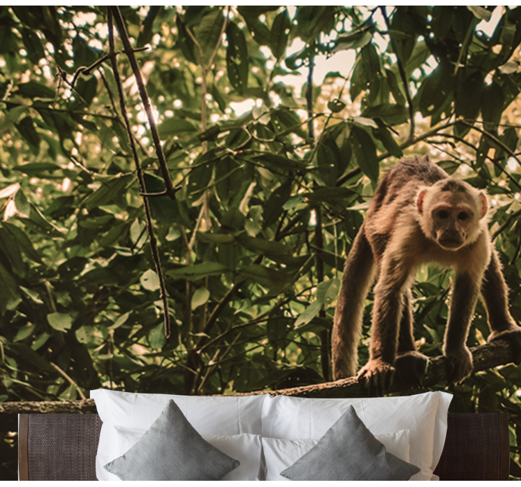 Mural de animales mono en la rama - TenVinilo