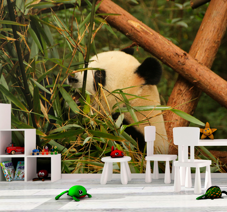 Mural de animales panda entre bambú - TenVinilo