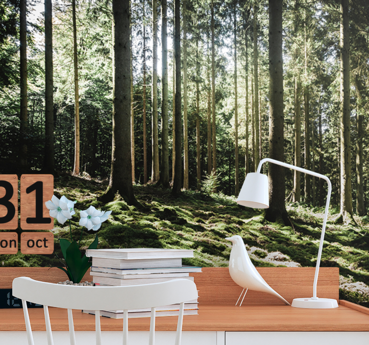 Mural de bosque escena de bosque tranquilo - TenVinilo