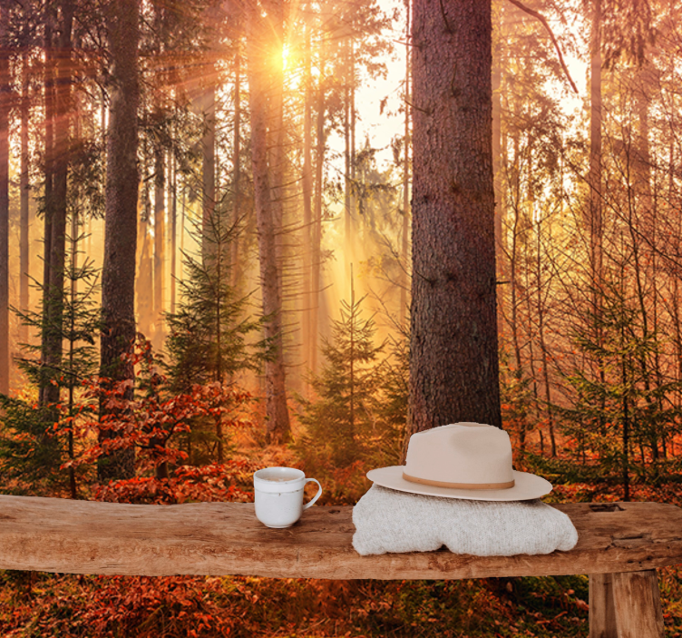 Mural de bosque resplandor del bosque iluminado - TenVinilo