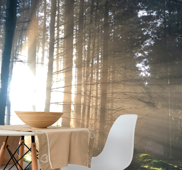 Mural de bosque sendero iluminado en el bosque - TenVinilo