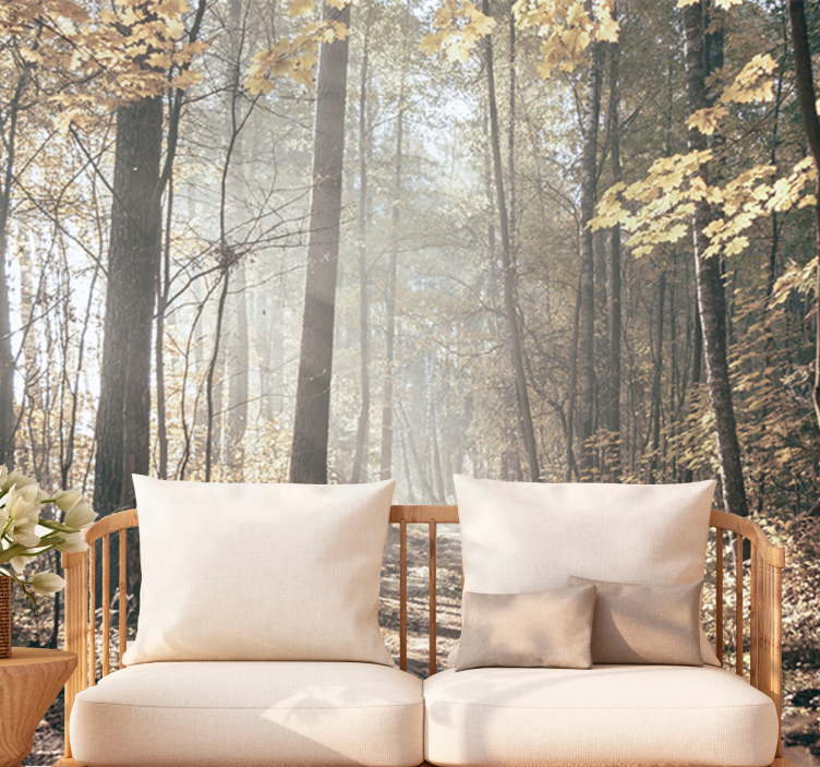 Mural de bosque sendero otoñal sereno - TenVinilo