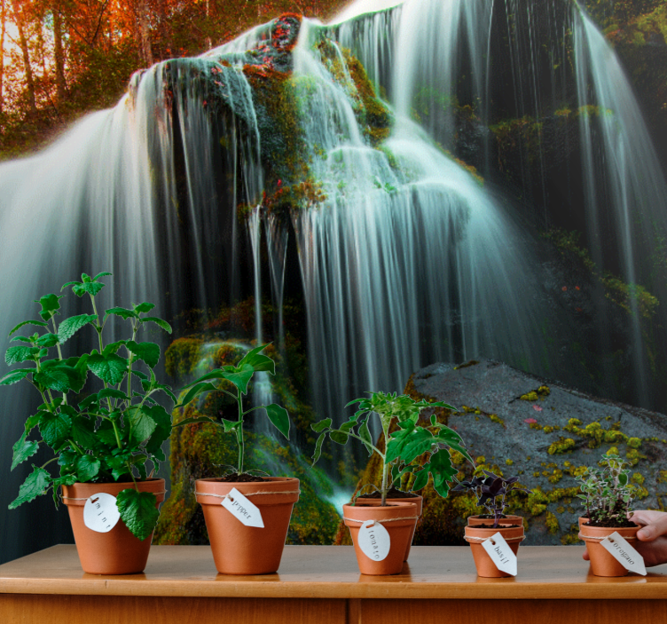 Mural de cascada agua que cae suavemente - TenVinilo