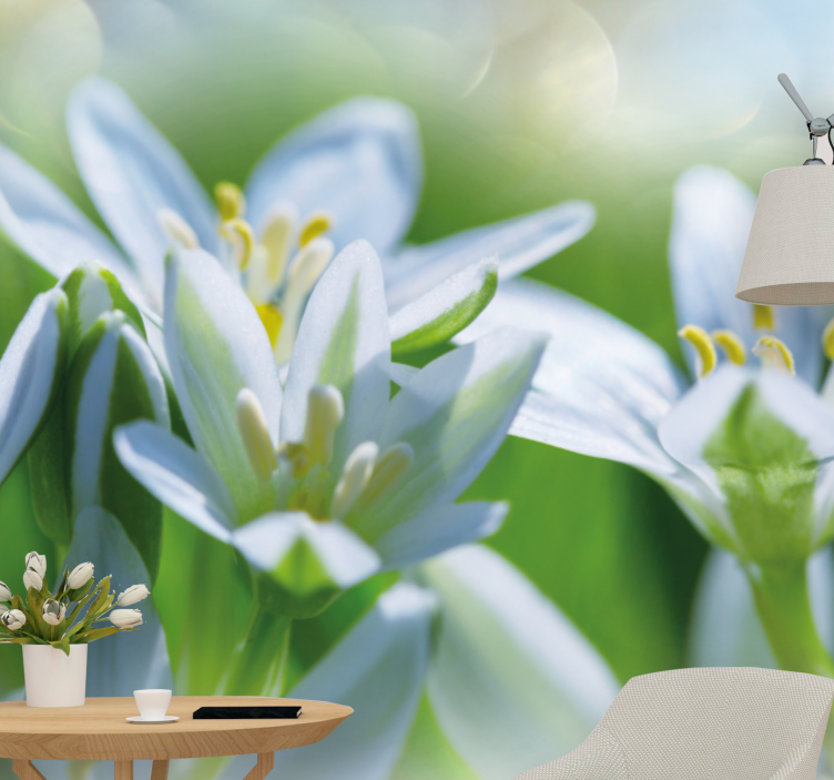 Mural de flores pétalos blancos suaves - TenVinilo