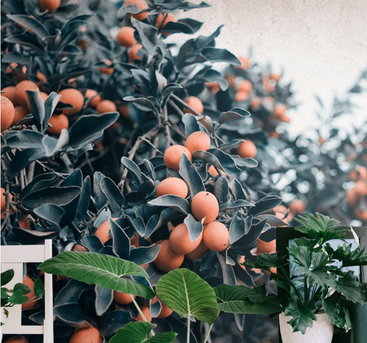 Mural de flores rama de frutas cítricas - TenVinilo