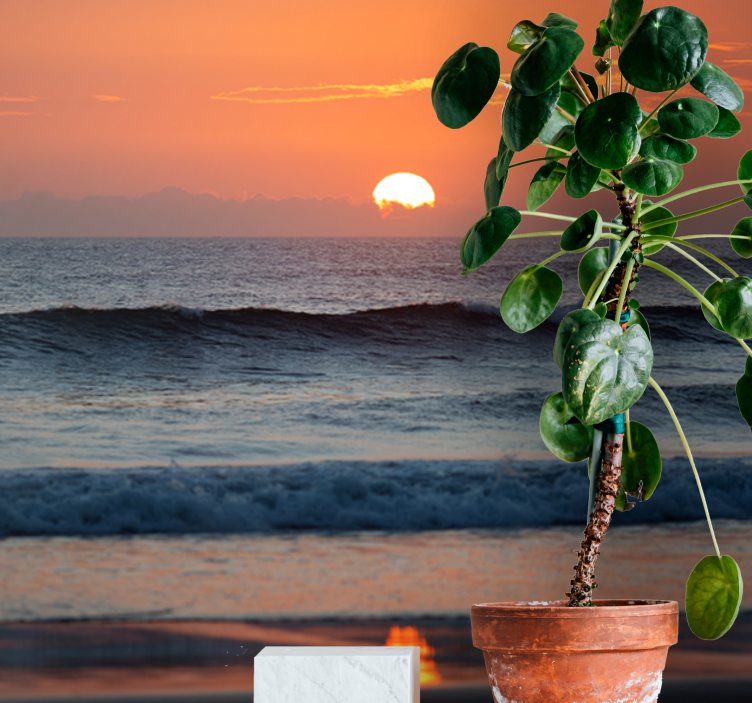 Mural de mar horizonte del océano al atardecer - TenVinilo