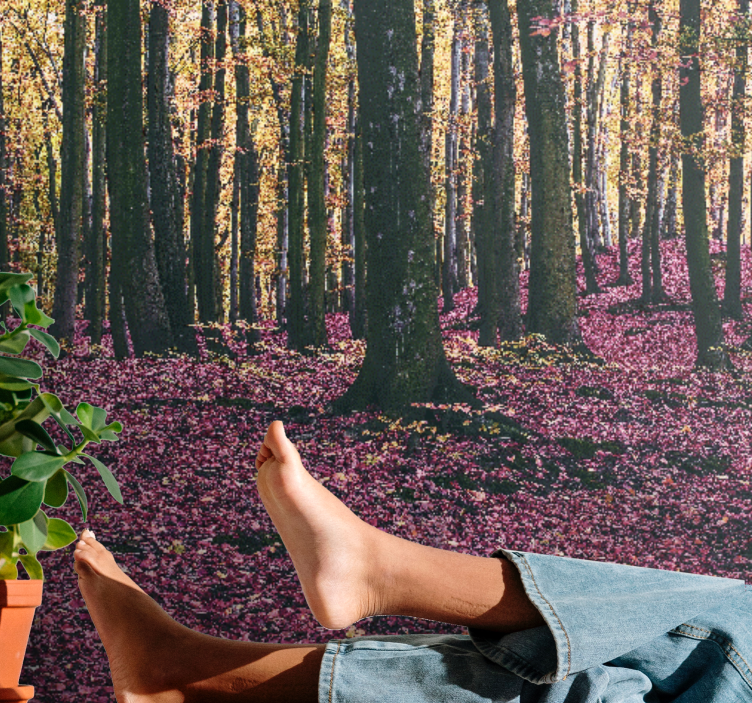 Mural de naturaleza escena de bosque sereno - TenVinilo