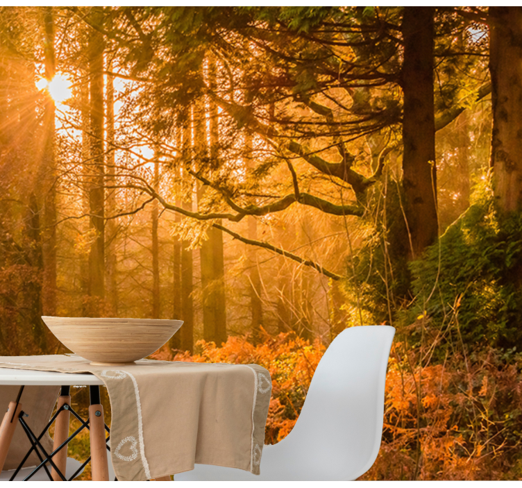 Mural de naturaleza paisaje boscoso iluminado - TenVinilo