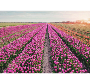 Fotomural tulipanes Campo de línea de tulipán - TenVinilo