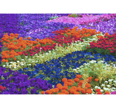Mural flores campo colorido - TenVinilo