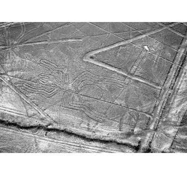 Fotomural de naturaleza Postre de hielo lineas de nazca - TenVinilo