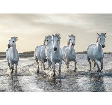 Fotomural animale caballos blancos y marrones corriendo en la pla - TenVinilo