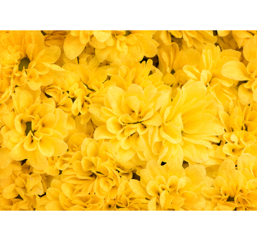 Fotomural amarillo pétalos de flor - TenVinilo