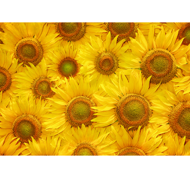 Fotomural salón girasoles - TenVinilo