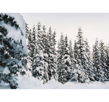 Papel mural pared de bosque de pinos nevados - TenVinilo